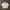 Wilson Casual Track Jacket Pria White