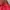 Ellesse Gorpcore Track jacket Wanita red brown photo 5