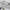 Dickies Streetwear Skater Casual pants Pria white blue photo 6