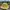 Stussy Vintage Streetwear Hat Pria white yellow photo 1