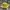 Stussy Vintage Streetwear Hat Pria white yellow photo 2