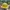 Stussy Vintage Streetwear Hat Pria White Yellow