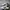 Adidas Casual Sneakers Pria white black photo 1
