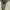 Patagonia Vintage Streetwear Formal pants Pria green photo 4