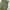 Patagonia Vintage Streetwear Formal pants Pria green photo 2