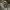 Dickies Casual Windbreaker Pria gray photo 2
