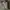 Dickies Casual Windbreaker Pria gray photo 6