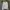 Champion Casual Sweater Pria white photo 7