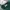 Oakley Streetwear Sportswear Jersey Pria green photo 4