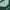 Oakley Streetwear Sportswear Jersey Pria green photo 3