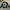 Streetwear Sweater Pria green photo 1