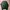 Streetwear Sweater Pria green photo 4