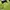 Casual Track jacket Pria green navy photo 3
