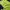 Casual Track jacket Pria green navy photo 7