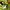 Casual Track jacket Pria green navy photo 4