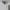 Burberry Luxury Casual Polo shirt Pria white photo 2