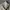 Polo Ralph Lauren Streetwear Casual Casual pants Pria cream photo 2