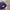 MLB Sportswear Hat Pria navy photo 4