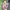 Sportswear Bra Wanita multicolor photo 2