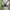 Lululemon Sportswear Bra Wanita gray photo 1