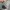 Lululemon Sportswear Bra Wanita gray photo 6