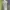 Lululemon Sportswear Bra Wanita gray photo 5
