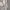 Lululemon Sportswear Bra Wanita gray photo 4