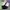 Sportswear Bra Wanita black photo 2