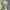Sportswear Crop top Wanita gray photo 2