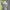 Sportswear Crop Top Wanita Gray