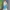 Sportswear Crop top Wanita blue photo 3