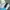 Sportswear Crop Top Wanita Blue