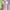 Sportswear Sweatshirt Wanita purple photo 1