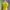Sportswear Sweatshirt Wanita yellow photo 1
