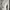 Fila Biker Hoody Wanita white photo 2