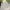 Indie Minimalist Crop top Wanita white photo 3