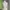 Indie Minimalist Crop top Wanita white photo 4