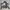 Nike Reworked Hoody Pria gray photo 1