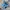 Puma Streetwear Sneakers Pria blue photo 1