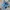 Puma Streetwear Sneakers Pria Blue