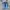 Puma Streetwear Sneakers Pria blue photo 3