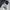 Phenix Vintage Windbreaker Pria white photo 5