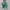 Minimalist Tote bag Wanita green photo 1