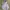 Russell Athletic Vintage Y2K Windbreaker Pria gray photo 1
