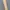 Mastermind Japan Luxury Casual Casual pants Pria tan photo 5