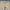 Mastermind Japan Luxury Casual Casual Pants Pria Tan