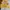Vintage Sweater Wanita yellow photo 1