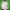 Umbro Vintage Track jacket Pria white photo 1