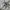 Asics Sportswear Sneakers Pria gray photo 1