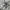 Asics Sportswear Sneakers Pria Gray